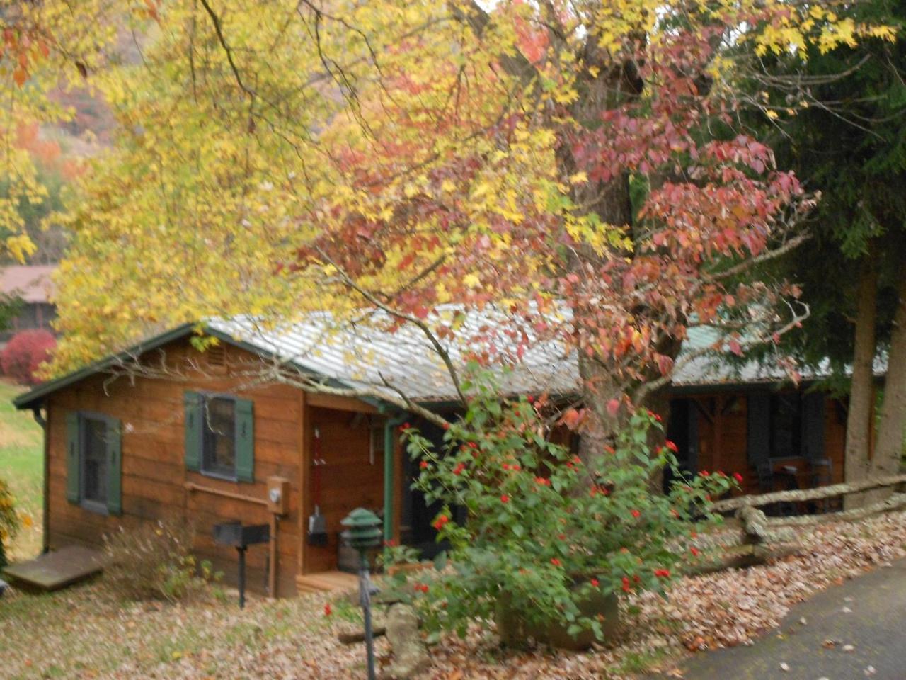 Mountain Springs Cabins Candler Экстерьер фото