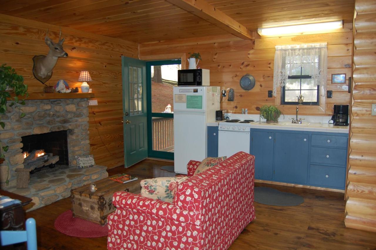 Mountain Springs Cabins Candler Экстерьер фото